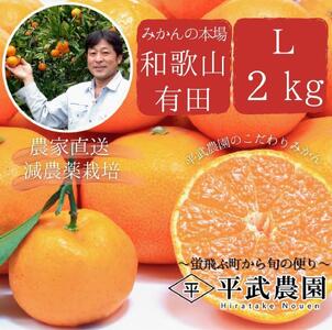 完熟有田みかん 約2kg Lサイズ 秀品 平武農園 農家直送 蛍飛ぶ町から旬の便り