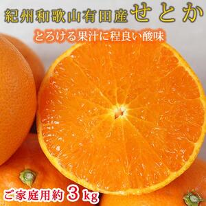 紀州有田産せとか 約3kg ［ご家庭用］とろける食感！ジューシー柑橘［2026年2月下旬以降発送］［先行予約］［UT133w］