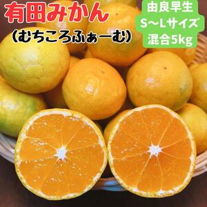 有田みかん 由良早生S〜Lサイズ混合 約5kg [2025年発送 先行予約]