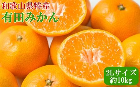 mGin a̎R Lc݂ 10kg 2LTCY 2025N11{菇