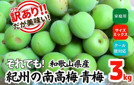[2025年6月上旬出荷]青梅 南高梅 約3kg 訳あり サイズミックス 和歌山県産 A品 梅酒作り用 梅ジュース作り用