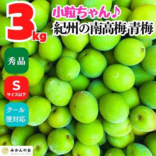 [2026年6月上旬出荷]南高梅 青梅 秀品 小粒ちゃん 約3kg Sサイズ以下 和歌山県産 紀州有田 産地直送 クール便対応 梅酒作り用 梅ジュース作り用