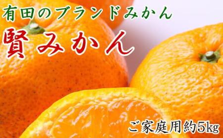 有田のブランド「賢みかん」約5kg サイズ混合 ご家庭用[2025年11月中旬頃より順次発送]