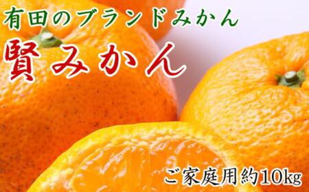 Lc̃uhu݂v10kg TCY ƒpy2025N11{菇z