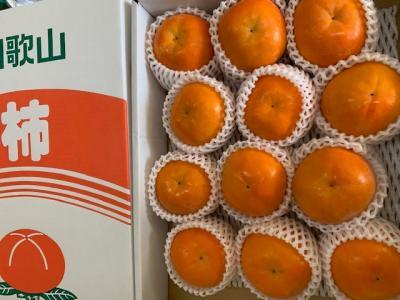 xL` ԏGi LTCY ϔi12~13j