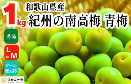 [2025年6月上旬出荷] 青梅 南高梅 約1kg 秀品 LまたはMサイズ 和歌山県産 A品 梅酒作り用 梅ジュース作り用