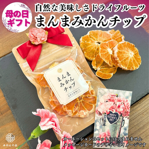 [母の日ギフト]みかん ドライフルーツ まんまみかんチップ 100g ( 20g × 5袋 ) 和歌山県産 果物使用 国内製造 [みかんの会]