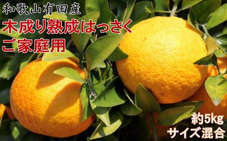 2026年3月下旬より発送★ ご家庭用 こだわりの和歌山有田産木成り熟成さつき八朔 約5kg サイズ混合
