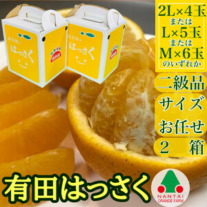2Zbg   肳 Lc ͂ 2L ~ M 4~6ʓ ׉ ݂