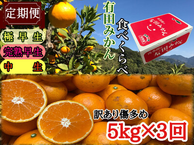 定期便 訳あり 傷多め 5kg × 3回 コース 有田みかん 食べくらべ 3種 全3回 南泰園