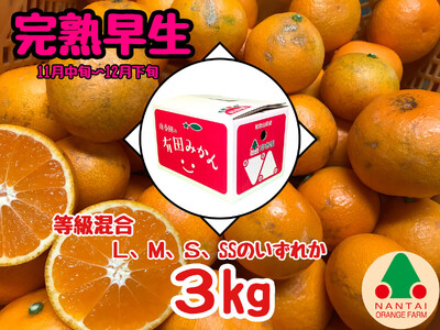  n Lc ݂ L ` SS TCY 3kg ׉ a̎R Lc݂