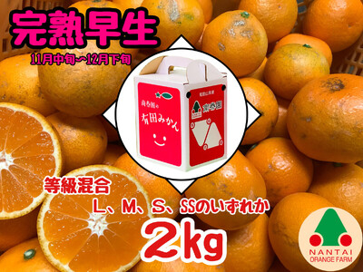 等級混合 完熟早生 有田 みかん L 〜 SS サイズ 2kg 南泰園 和歌山 有田みかん