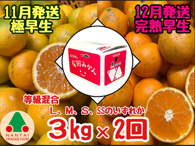 [ふるなびWEEK対象]定期便 11・12月発送 有田みかん 2種 食べくらべ 極早生 & 完熟早生 3kg 和歌山 みかん 南泰園 全2回 FN-Limited