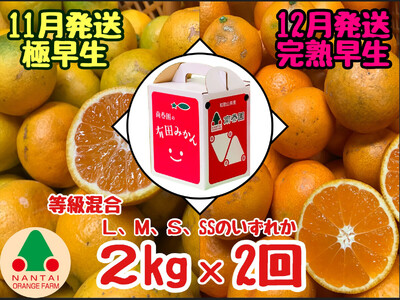 定期便 11・12月発送 有田みかん 2種 食べくらべ 極早生 & 完熟早生 2kg 和歌山 みかん 南泰園 全2回