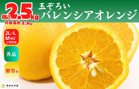 バレンシアオレンジ 国産 玉ぞろい 秀品 箱込 2.5kg (内容量 2.3kg ) 2L L M サイズのいずれか 和歌山県産 産地直送[みかんの会]
