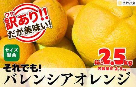 訳あり バレンシアオレンジ 国産 箱込 2.5kg (内容量 2.3kg ) サイズミックス 和歌山県産 産地直送 みかんの会
