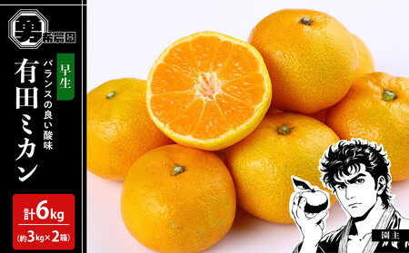 ��s�\�񑁐��݂��� ��6kg�i��3kg×2���j�T�C�Y���� �a�̎R�� �L�c�݂��� 2025�N11�����{������