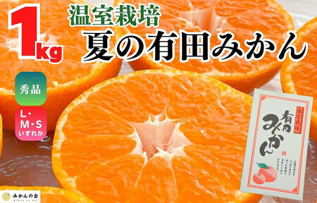 [お中元]ハウスみかん 温室栽培 夏の有田みかん 約1kg 秀品 S・M・Lサイズのいずれか 和歌山県 産地直送 みかんの会 [7月上旬〜8月上旬に順次発送]