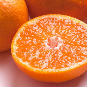 極プレミアム有田みかん 約5kg 定期便 全3回 10月・11月・12月発送