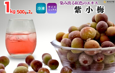 y2025N7{`oח\zⓀ ~ 1kg ( 500g ×2) GD TCY~bNX gF ~ a̎RY IBLc N[ ỷ݂z