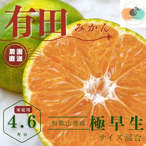 [ふるさと納税][先行予約]有田みかん 極早生 4.6kg(箱込み5kg) 家庭用 S〜2Lサイズ 混合 [2025年10月下旬〜11月頃発送] 柑橘 フルーツみかん 産地直送 お取り寄せ 送料無料