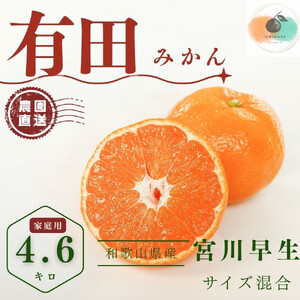 yӂ邳Ɣ[Łzys\zLc݂  B݂ 4.6kgi5kgj ƒp S`QLTCY  k t[c ݂ Yn   B~J