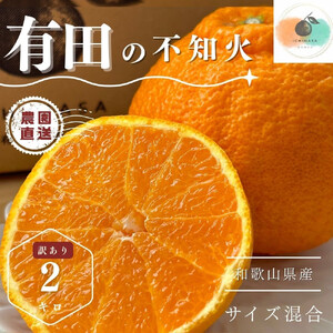 [ふるさと納税][先行予約] 不知火 2kg 訳あり サイズ混合 柑橘 フルーツ 産地直送 お取り寄せ 送料無料