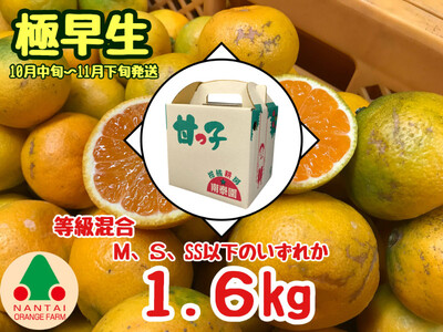 等級混合 極早生 有田みかん M 〜 SSサイズ以下 約1.6kg 南泰園 和歌山 有田みかん