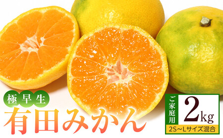ms\nƒp ɑ Lc݂ 2kg 2S`LTCY