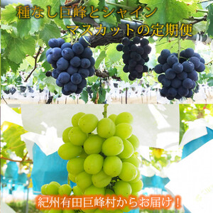  8E9 IBLcY{̂ԂǂZbgiȂ×2kgEVC}XJbg×2kgj