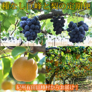  8E9 IBLcY{̃t[cZbgiȂ×2[i800g?1kgjE×3 ϔj