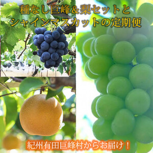  8E9 IBLcY{̃t[cZbgiȂ􁕗Zbg×v2kgEVC}XJbg×2kgj