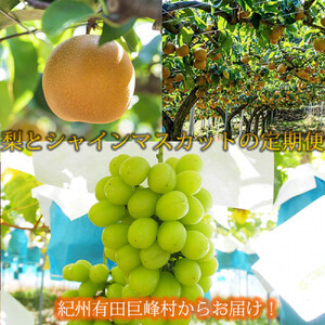  8E9 IBLcY{̃t[cZbgi×2kg  ϔEVC}XJbg×2kgj