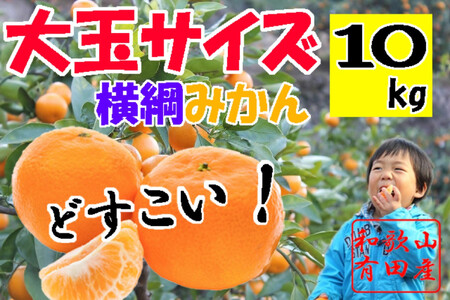 ʗLc݂ 10kg 2LE3LTCY