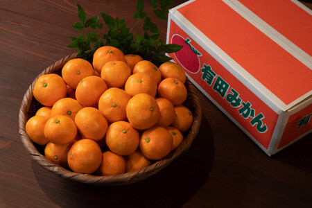 ̂ꂽĊÂEݗLc݂ 10kg S`LTCYs