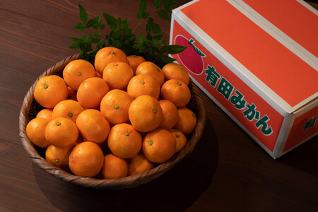 mS2Enllp̂ꂽĊÂEݗLc݂ 1.5kgi15Oj S`LTCY̕s