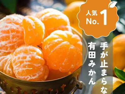 肪~܂Ȃ 󂠂 Lc݂ 5kg 傫Iʁi2S?3Lj x11xȏ _