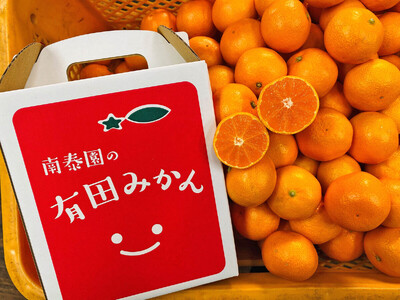 Lc݂ ʂ  2.2kg 2S`4STCY a̎R ׉ ݂