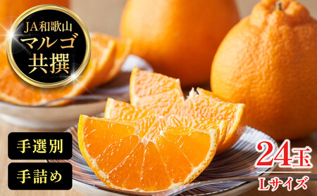 JA和歌山 マルゴ共撰 デコポン 24玉入り Lサイズ 5kg箱