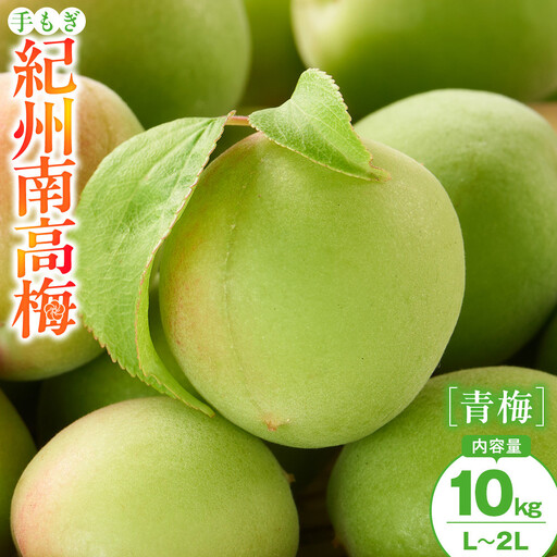 手もぎ 青梅 南高梅 10kg L～2Lサイズ 谷本農園