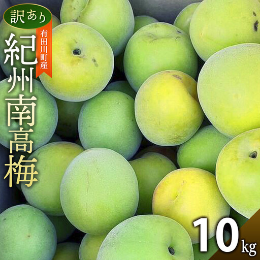 青梅 10kg 訳あり 紀州南高梅 シロップ・梅酒・梅干し用等 和歌山県有田産 2026年5月下旬～7月上旬発送予定