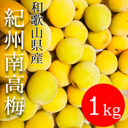 黄色〜完熟梅 南高梅 1kg