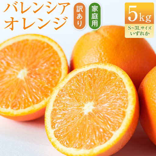 バレンシアオレンジ 家庭用 訳あり 5kg S～3Lサイズいずれか