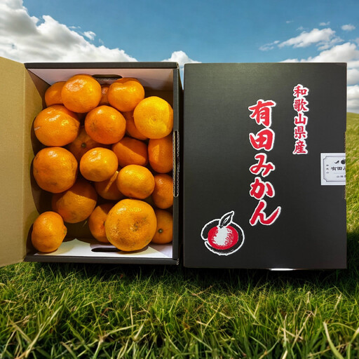 【訳あり】有田みかん 約10kg 家庭用