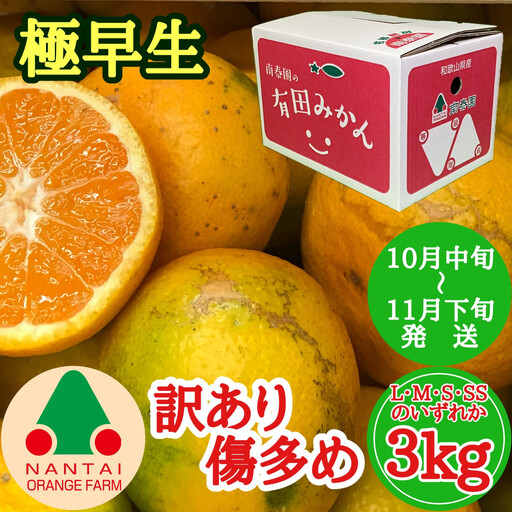 訳あり 傷多め 極早生 有田 みかん 3kg L～SS サイズおまかせ 南泰園 和歌山 有田みかん