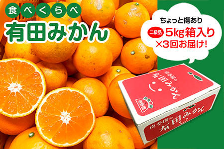 みかん 定期便 検索結果 ふるさと納税サイト ふるなび