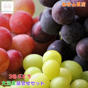 _ƒ RFԂǂlߍ킹喞Zbg 4kgm2026NEs\n