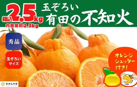不知火 (しらぬい) 秀品 玉ぞろい 箱込 2.5kg (内容量約2.3kg) 和歌山県産 産地直送[みかんの会]