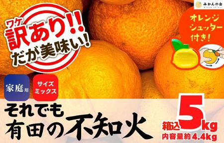 sm 󂠂 ł Lc̕sm  5kg(eʖ 4.4kg) TCY~bNX a̎RY Ynm݂̉n