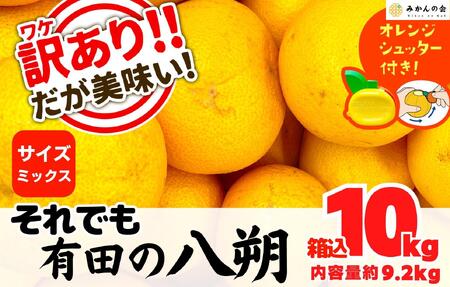 ふるさと納税「はっさく」の人気返礼品・お礼品比較 - 価格.com